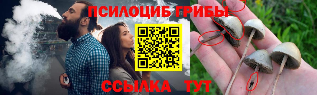 Псилоцибиновые грибы прущие грибы  Вход с VPN  Нефтеюганск 